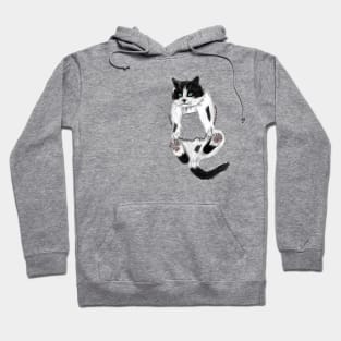 cat in your pocket Hoodie